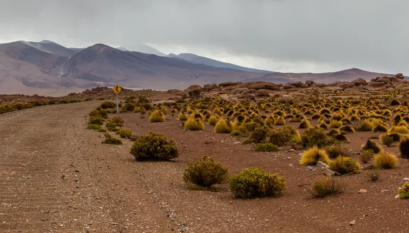 Paisaje Cerca De La Mina De Collahuasi, Chile, 2016 02 10, DD 16 21 PAN (Cropped)